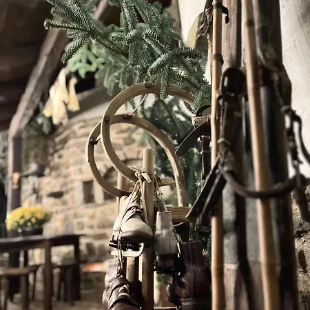 Rotunda U Vaclava Appartement *